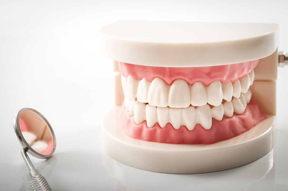 Kinds Of Dentures Lizella GA 31052